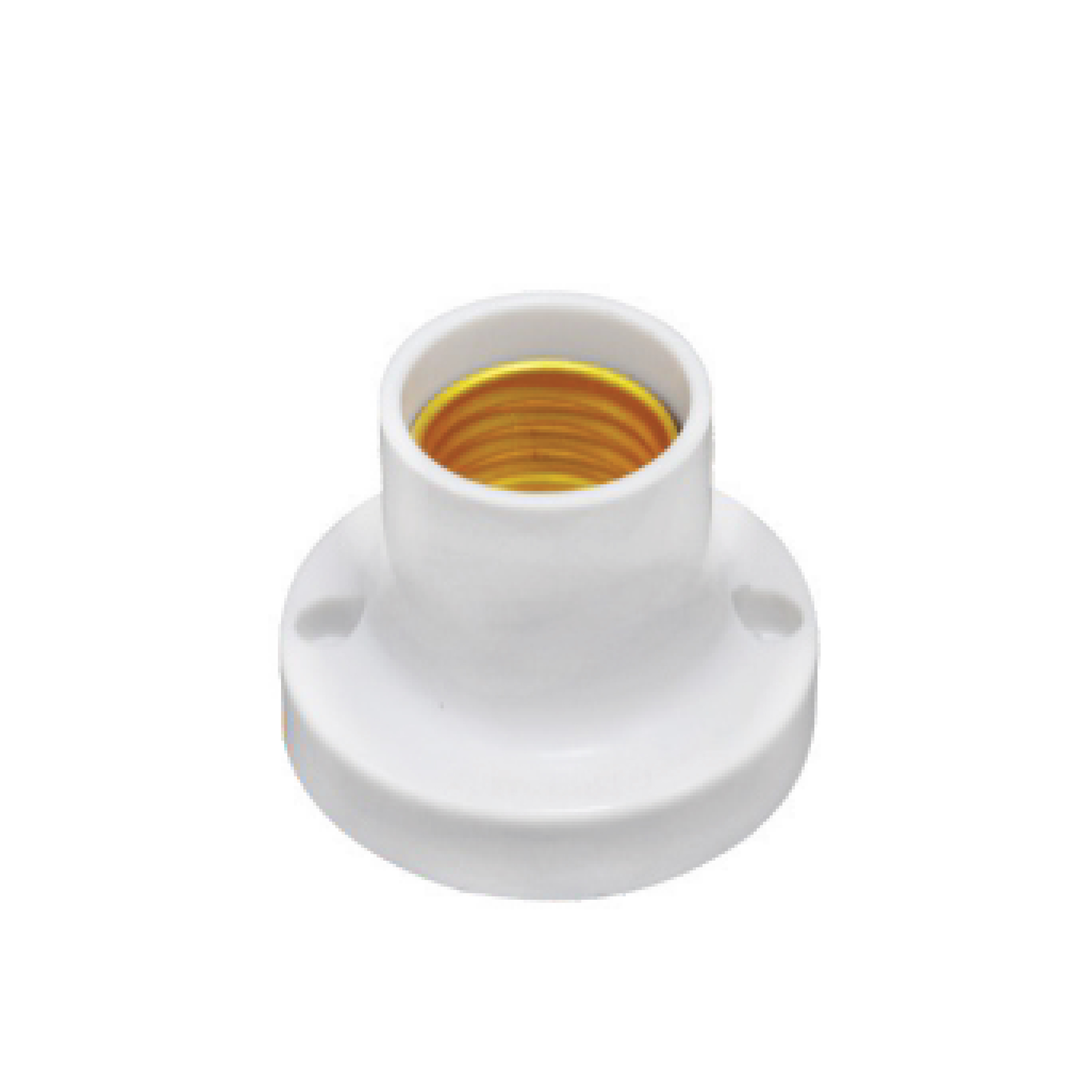 ĐUI ĐÈN LẮP THẲNG W55